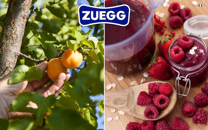 Posnetek zaslona zuegg-atelier.com