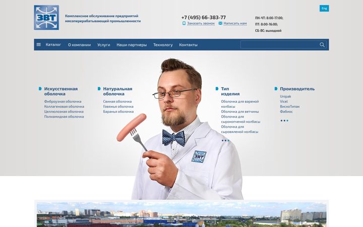 Screenshot of zvt.ru