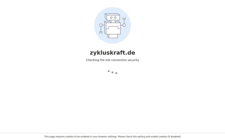 Skærmbillede af zykluskraft.de